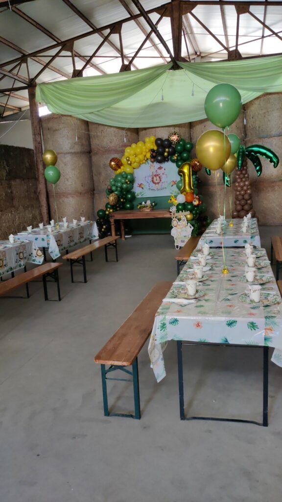 Decorazione con palloncini realizzata da ArteXenia — progetto 57