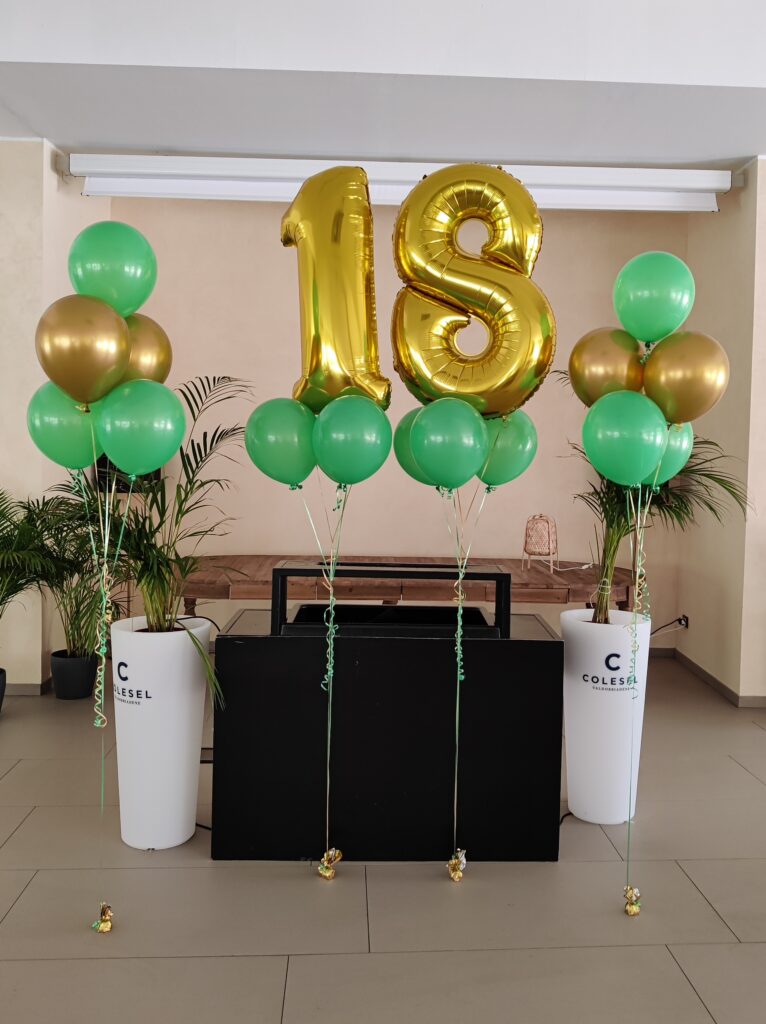 Decorazione con palloncini realizzata da ArteXenia — progetto 24