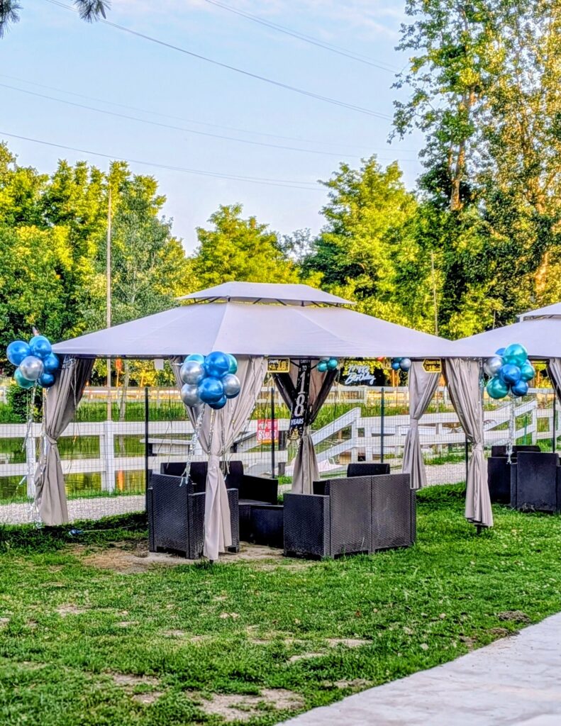 Decorazione con palloncini realizzata da Oxana — opera 132